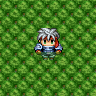 Bush